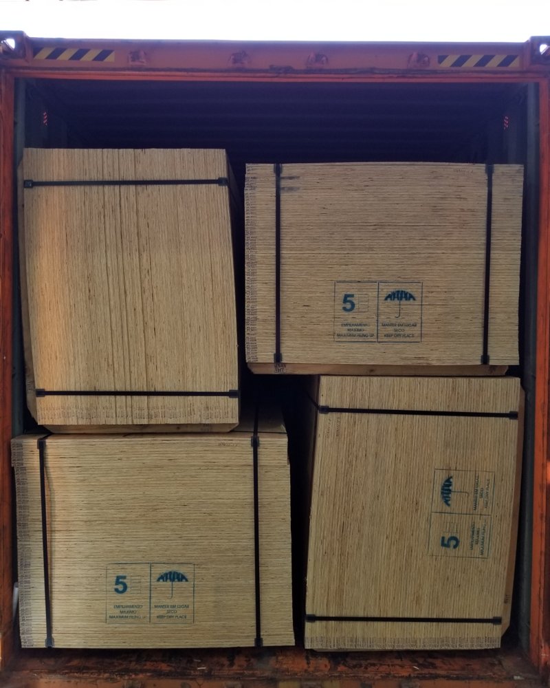 Mill-packed plywood units loaded inside an ocean container