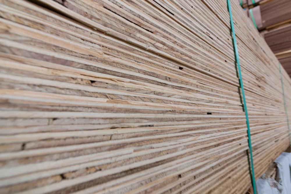Edges of stacked plywood