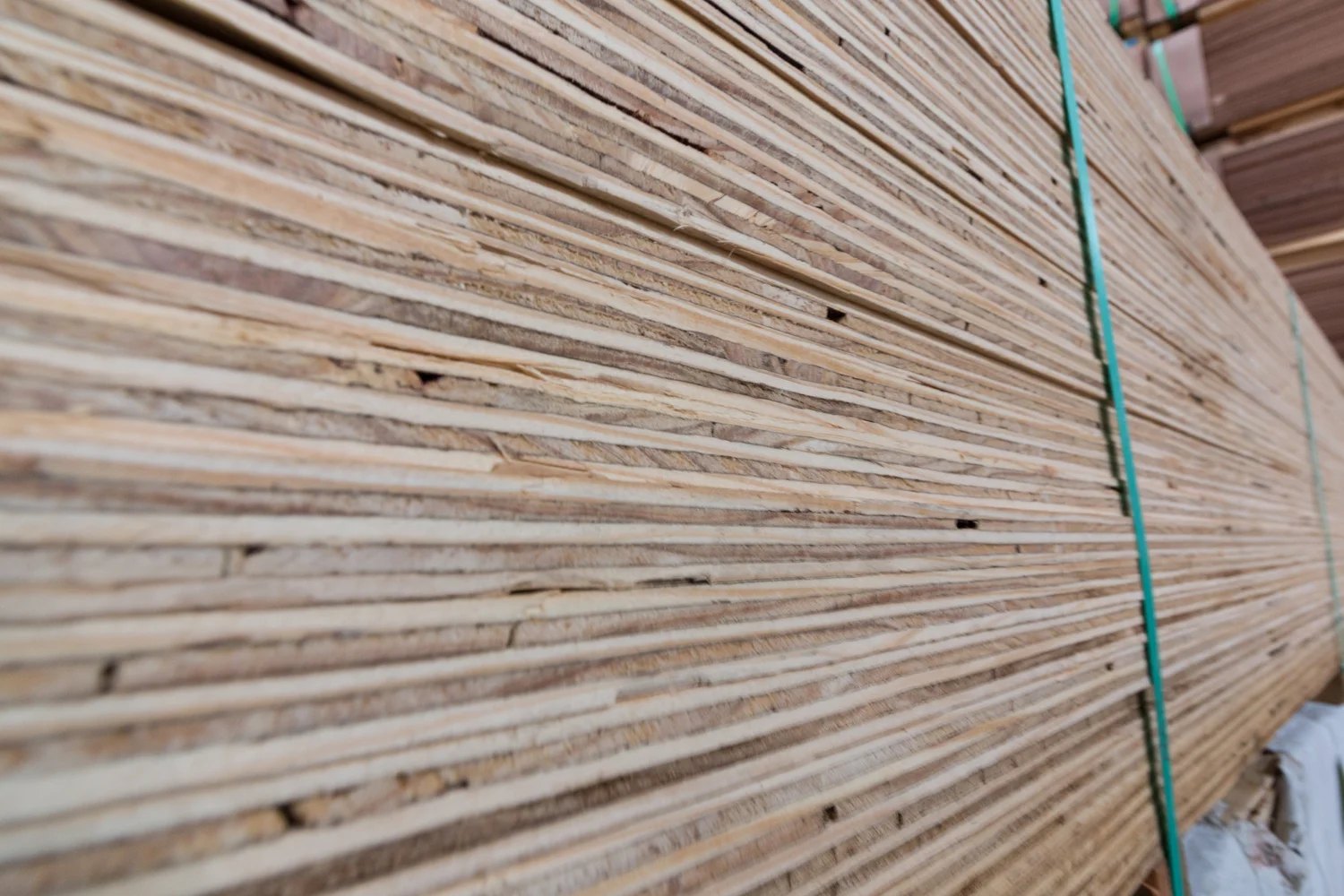 Edges of stacked plywood, strapped in units